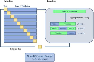 Radiomics-Based Classification of Left Ventricular Non-compaction, Hypertrophic Cardiomyopathy, and Dilated Cardiomyopathy in Cardiovascular Magnetic Resonance